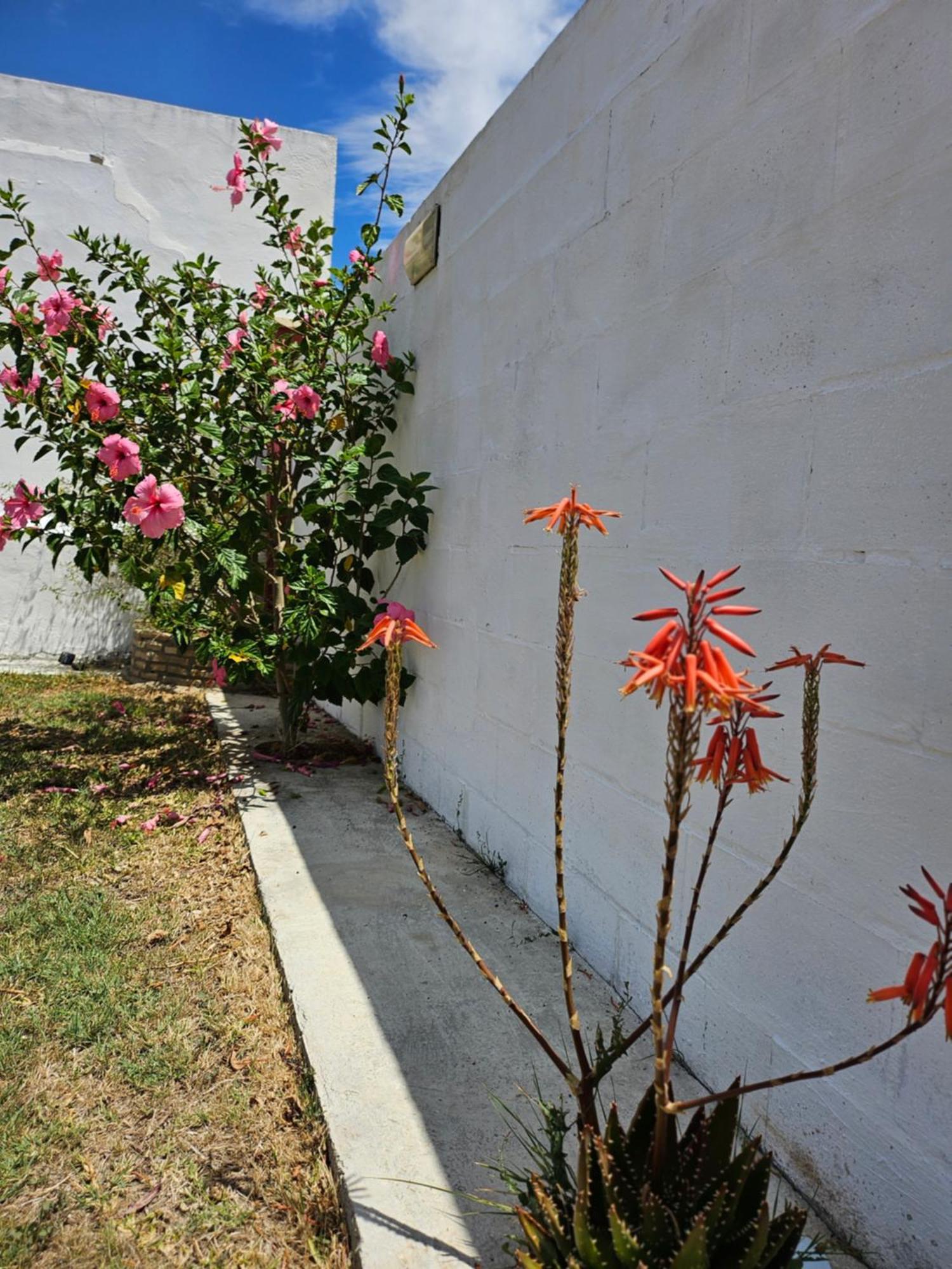 Villa Nonina Chiclana de la Frontera Bagian luar foto