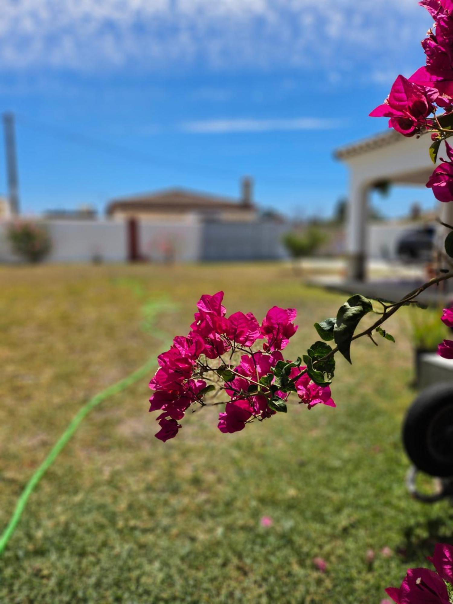 Villa Nonina Chiclana de la Frontera Bagian luar foto