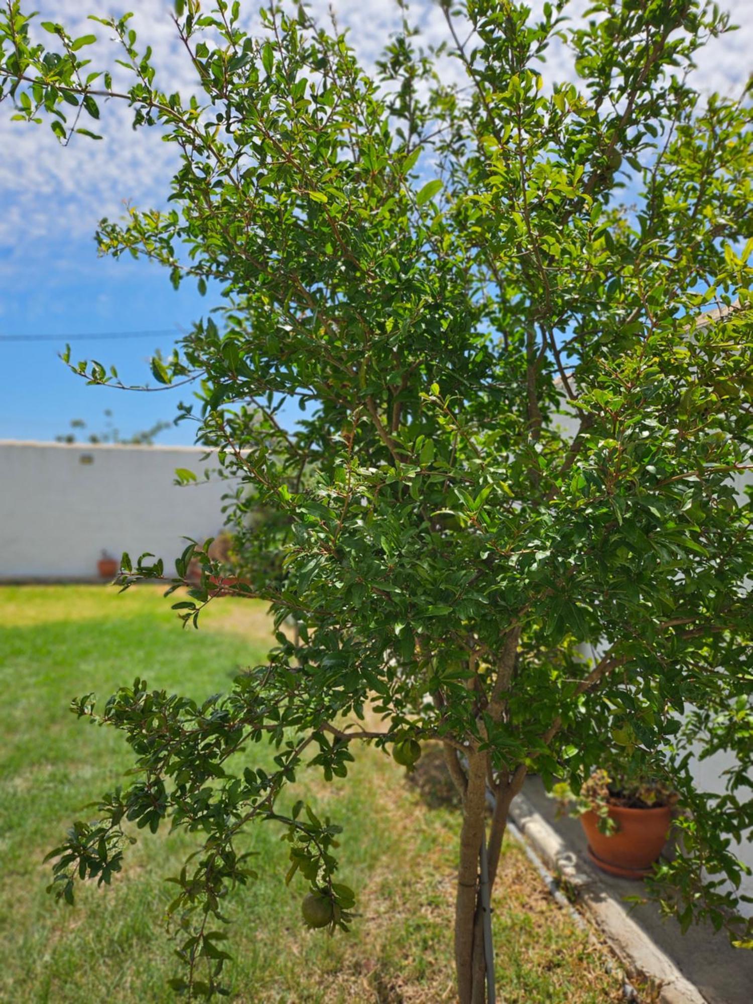 Villa Nonina Chiclana de la Frontera Bagian luar foto